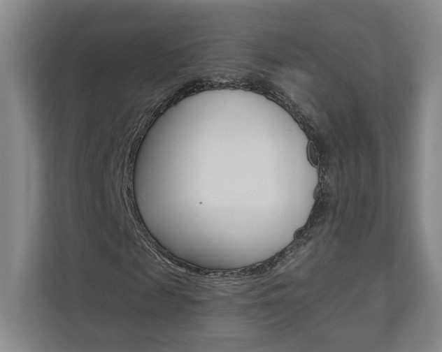 X0000110980817200906191048