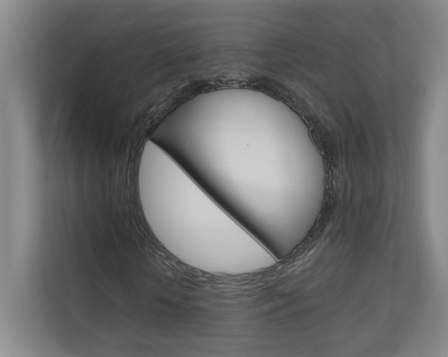 X0000110980818200906191048