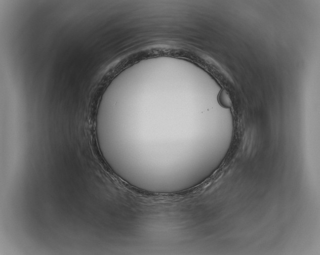 X0000110980822200906191048