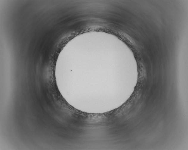 X0000110980824200906191048