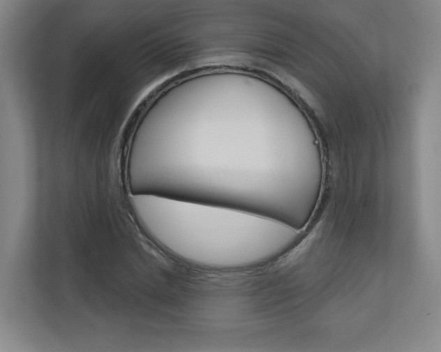 X0000110980830200906191048