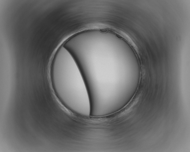 X0000110980843200906191049