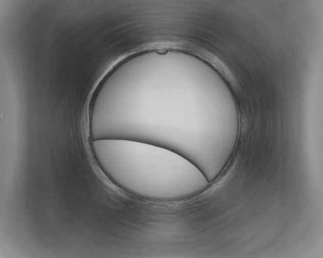 X0000110980844200906191049