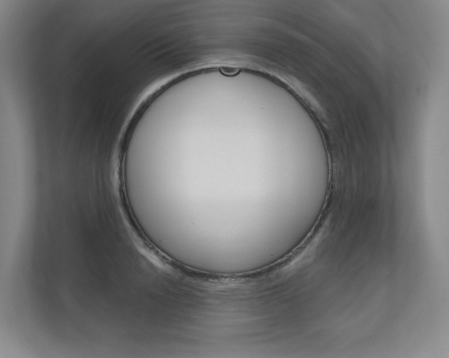 X0000110980846200906191049