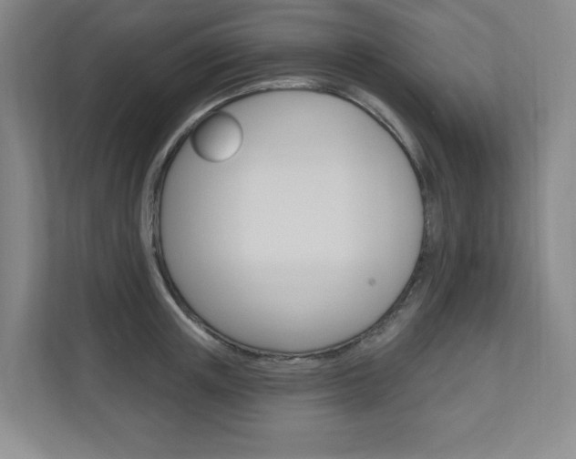 X0000110980851200906191049