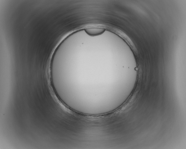 X0000110980852200906191049