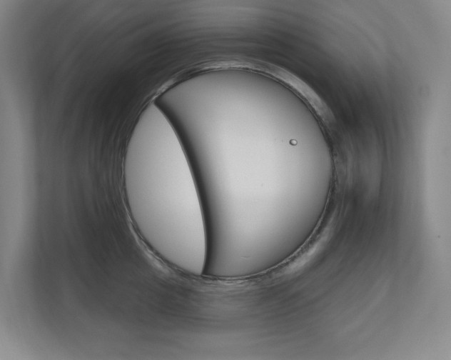 X0000110980857200906191049