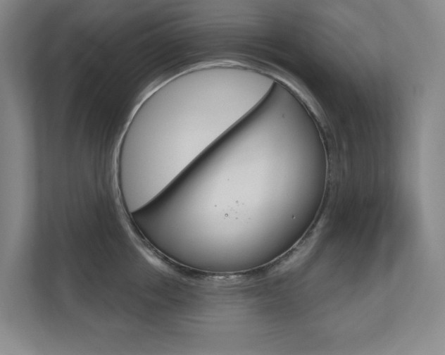 X0000110980858200906191049