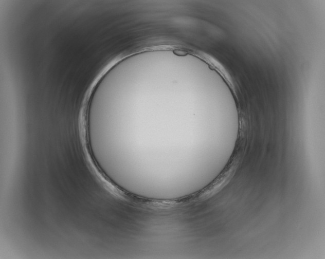 X0000110980859200906191049