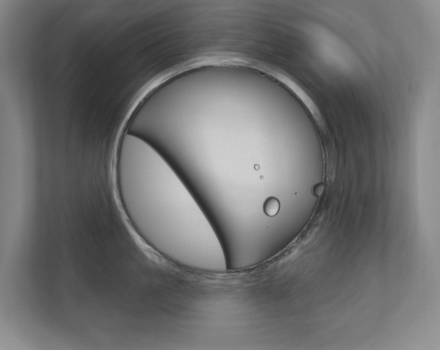 X0000110980861200906191049