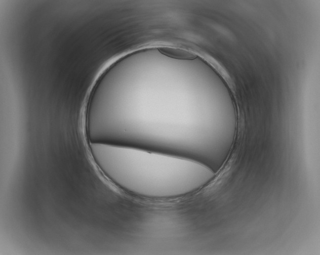 X0000110980862200906191049