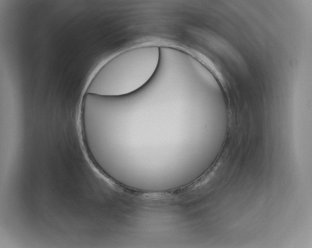 X0000110980863200906191049
