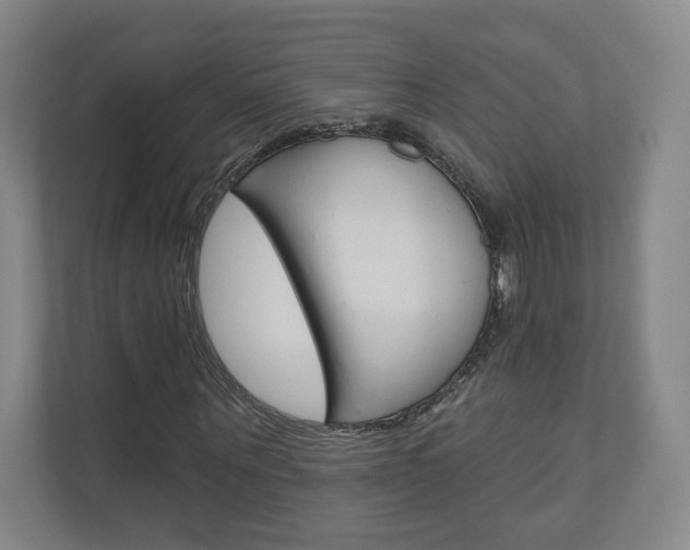 X0000110980867200906191048
