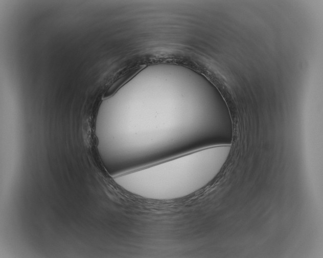 X0000110980868200906191048