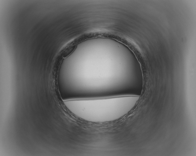 X0000110980872200906191048