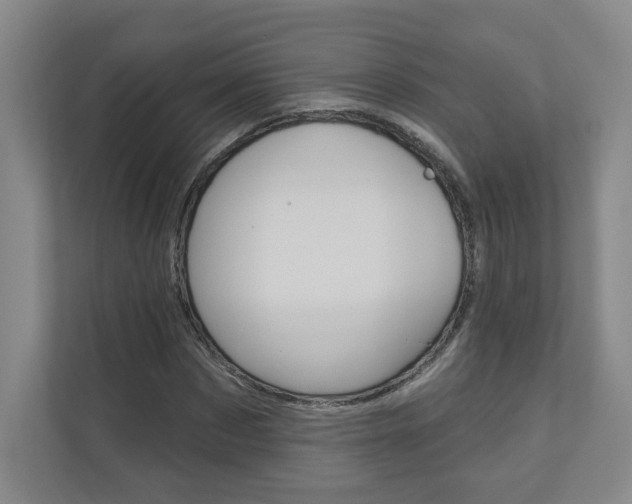 X0000110980873200906191048