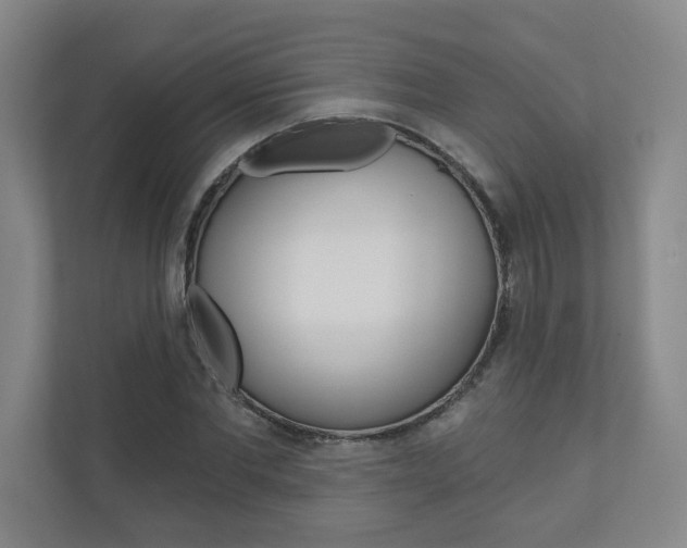 X0000110980877200906191048