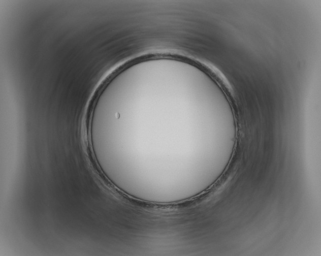 X0000110980887200906191048