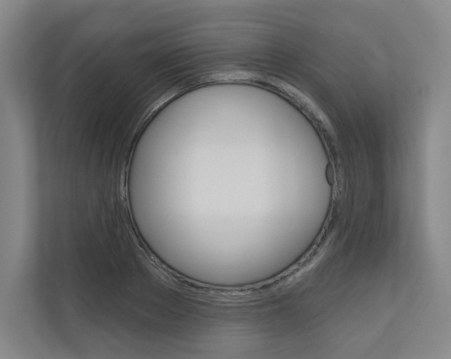 X0000110980889200906191048