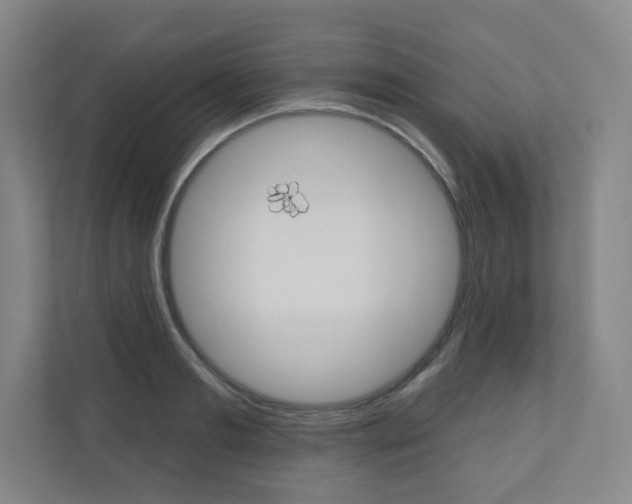 X0000110980893200906191048