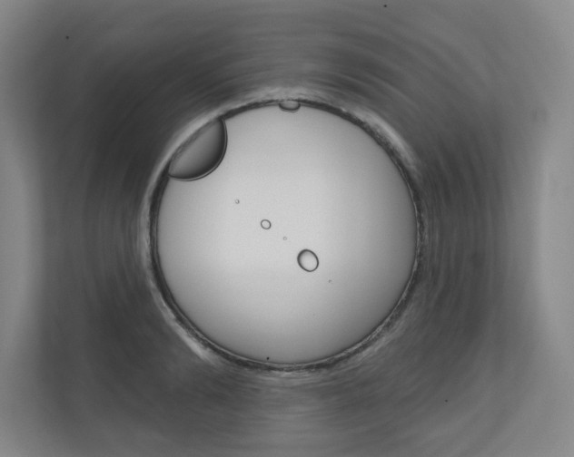 X0000110980894200906191048