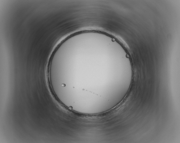 X0000110980895200906191048