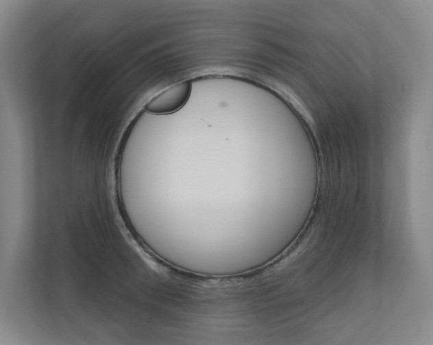 X0000110980898200906191048