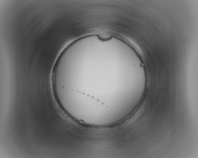 X0000110980899200906191048