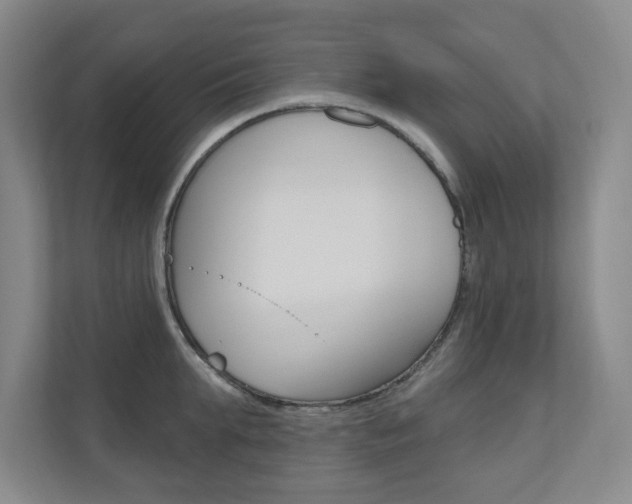 X0000110980903200906191048
