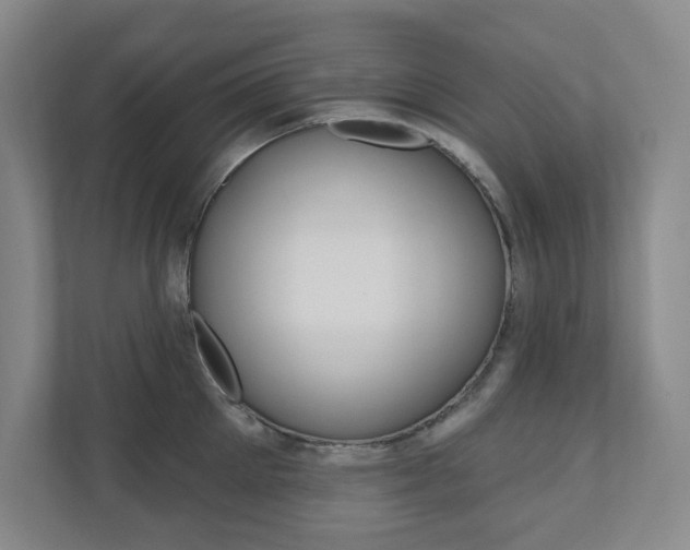 X0000110980905200906191048