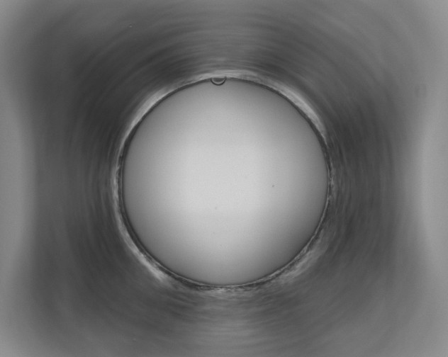 X0000110980906200906191048
