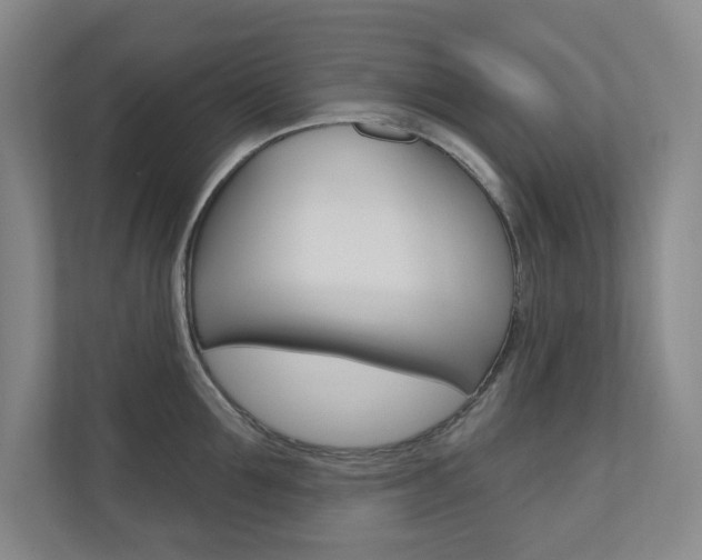X0000110980907200906191048