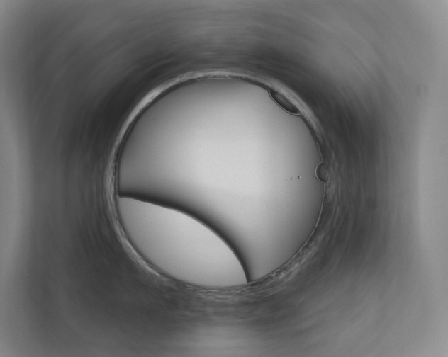 X0000110980911200906191048