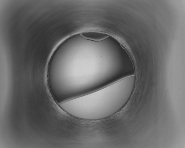 X0000110980912200906191048