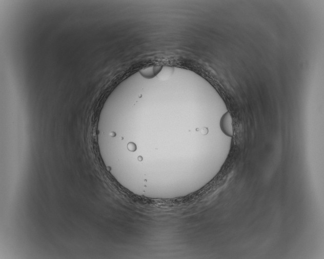 X0000110980913200906191047