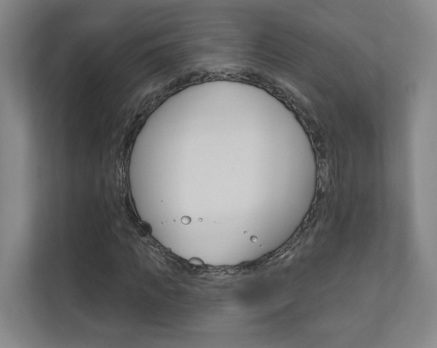 X0000110980917200906191047