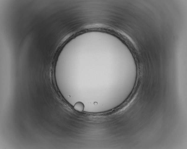 X0000110980921200906191047