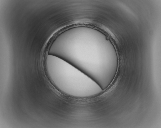 X0000110980923200906191047