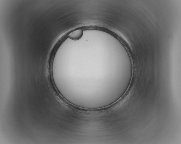 X0000110980927200906191047