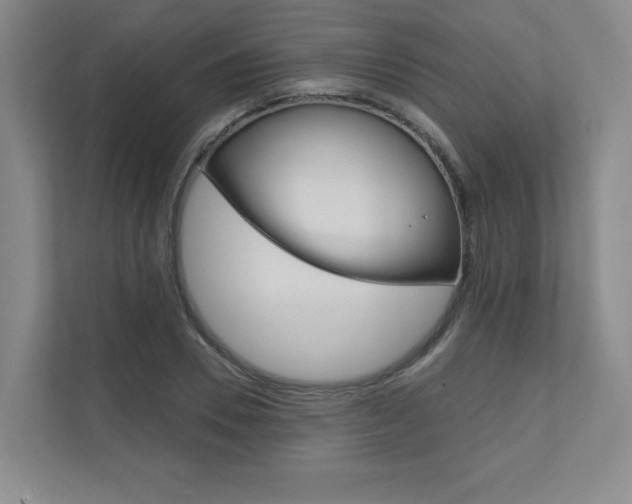 X0000110980930200906191047