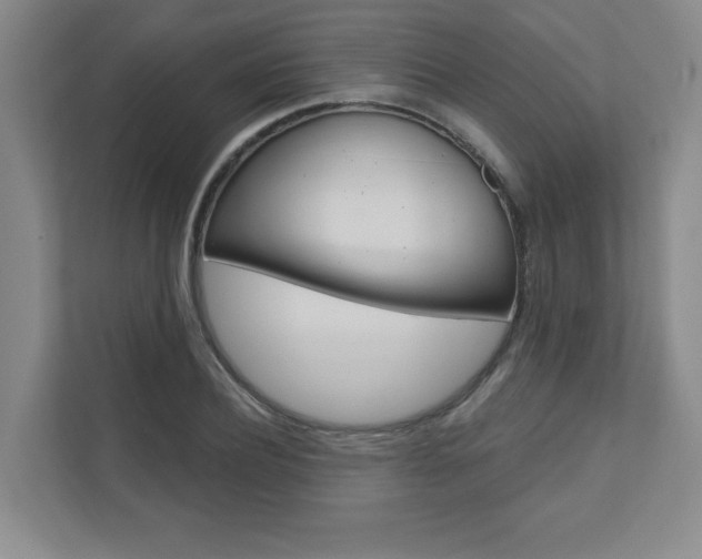 X0000110980932200906191047