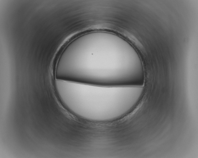 X0000110980934200906191047
