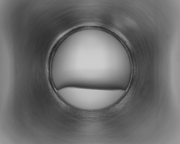 X0000110980935200906191047
