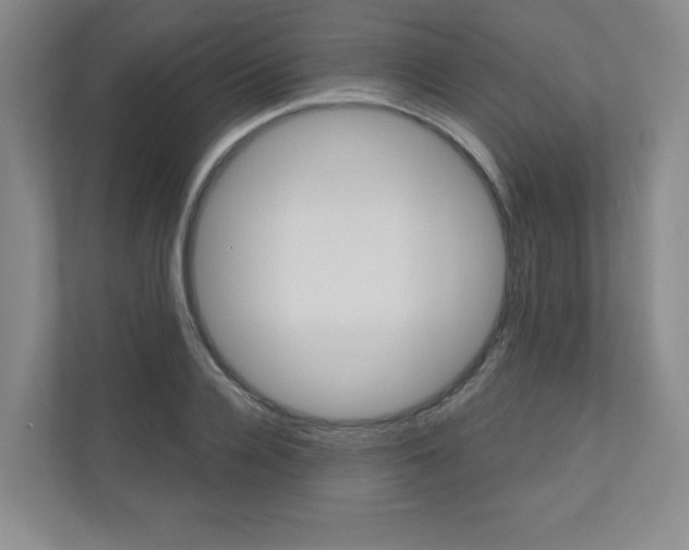 X0000110980936200906191047