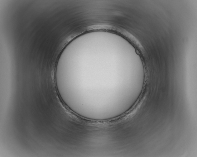 X0000110980937200906191047