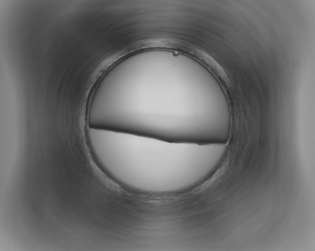 X0000110980938200906191047