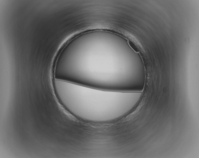 X0000110980942200906191047