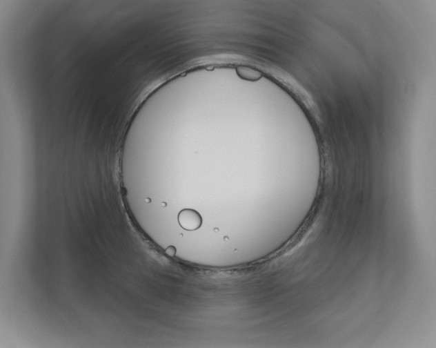 X0000110980945200906191047
