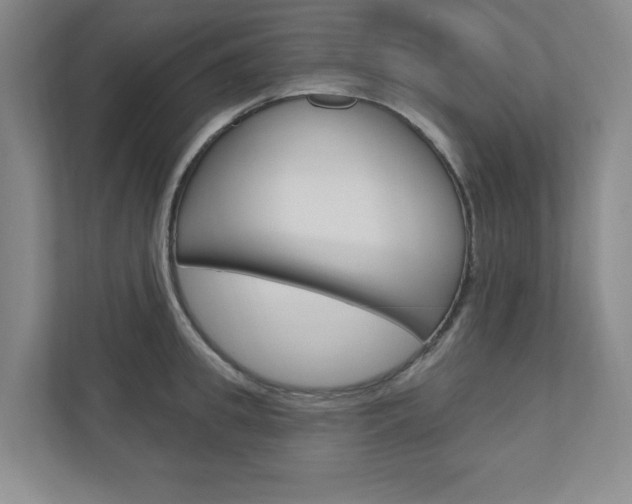 X0000110980949200906191047