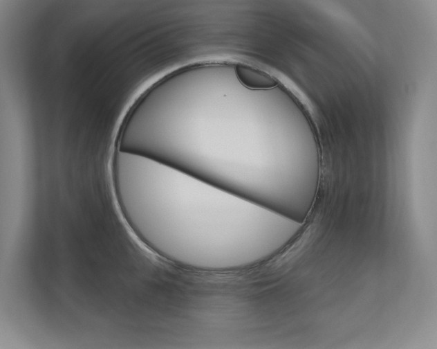 X0000110980951200906191047